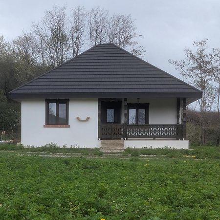 Casa Livada Bunicii Villa Aknavásár Kültér fotó