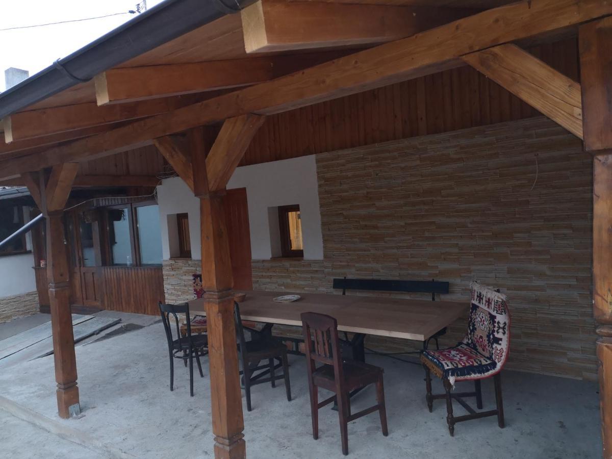 Casa Livada Bunicii Villa Aknavásár Kültér fotó