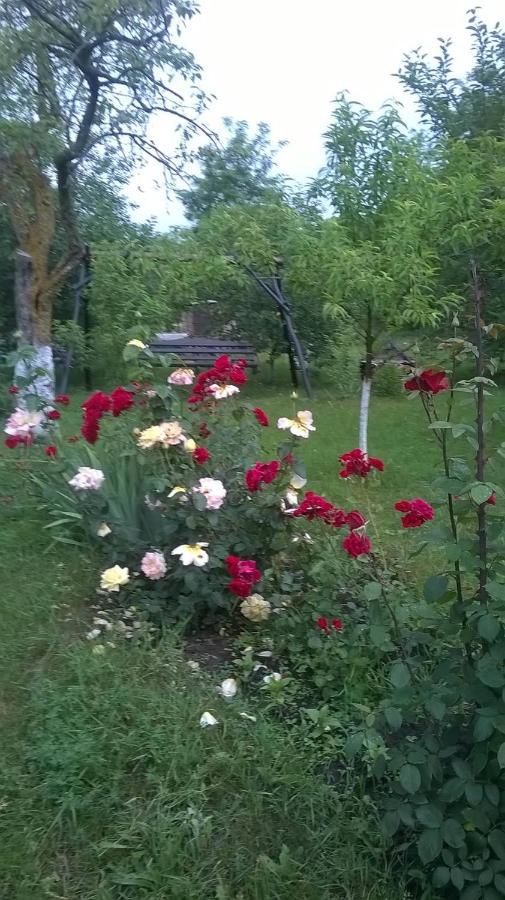 Casa Livada Bunicii Villa Aknavásár Kültér fotó