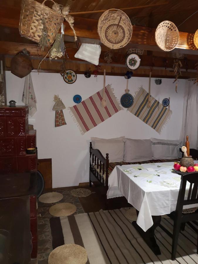 Casa Livada Bunicii Villa Aknavásár Kültér fotó