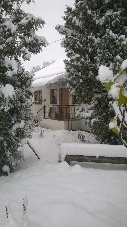Casa Livada Bunicii Villa Aknavásár Kültér fotó