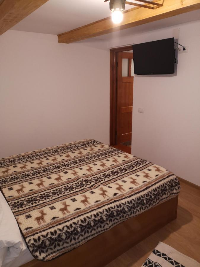 Casa Livada Bunicii Villa Aknavásár Kültér fotó