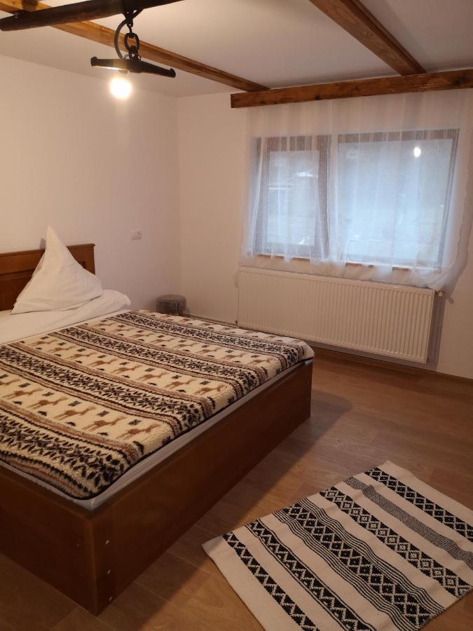 Casa Livada Bunicii Villa Aknavásár Kültér fotó