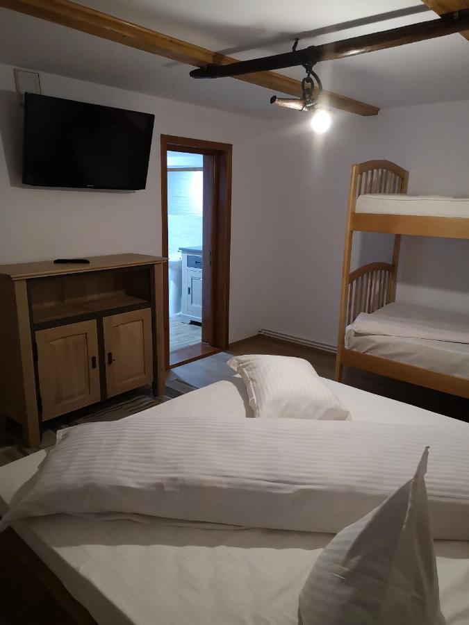 Casa Livada Bunicii Villa Aknavásár Kültér fotó