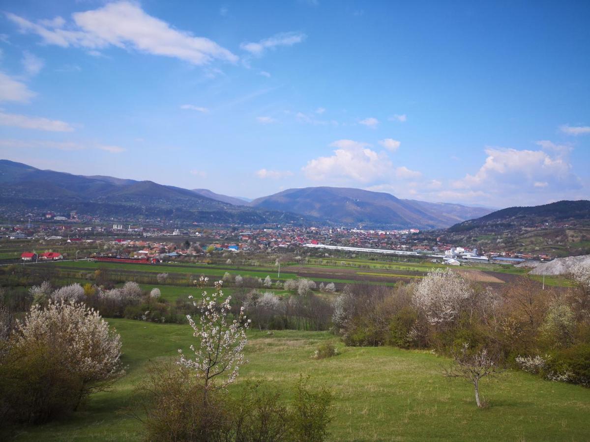 Casa Livada Bunicii Villa Aknavásár Kültér fotó
