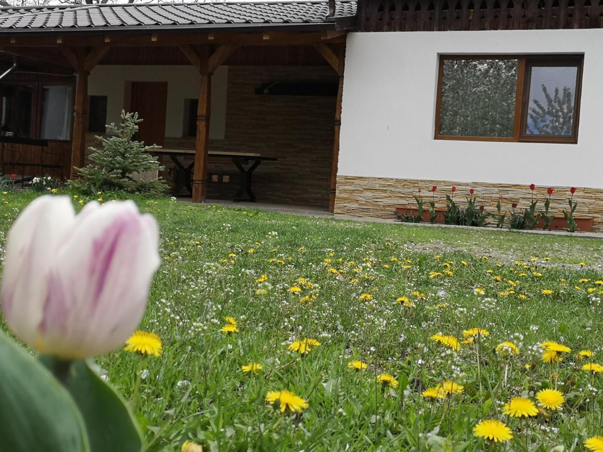 Casa Livada Bunicii Villa Aknavásár Kültér fotó