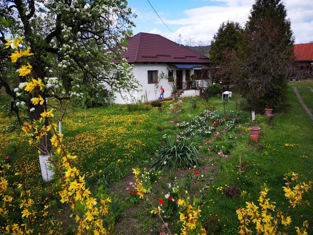 Casa Livada Bunicii Villa Aknavásár Kültér fotó