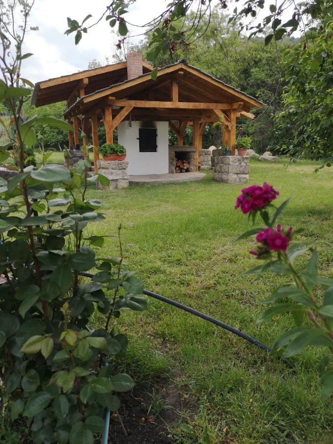 Casa Livada Bunicii Villa Aknavásár Kültér fotó