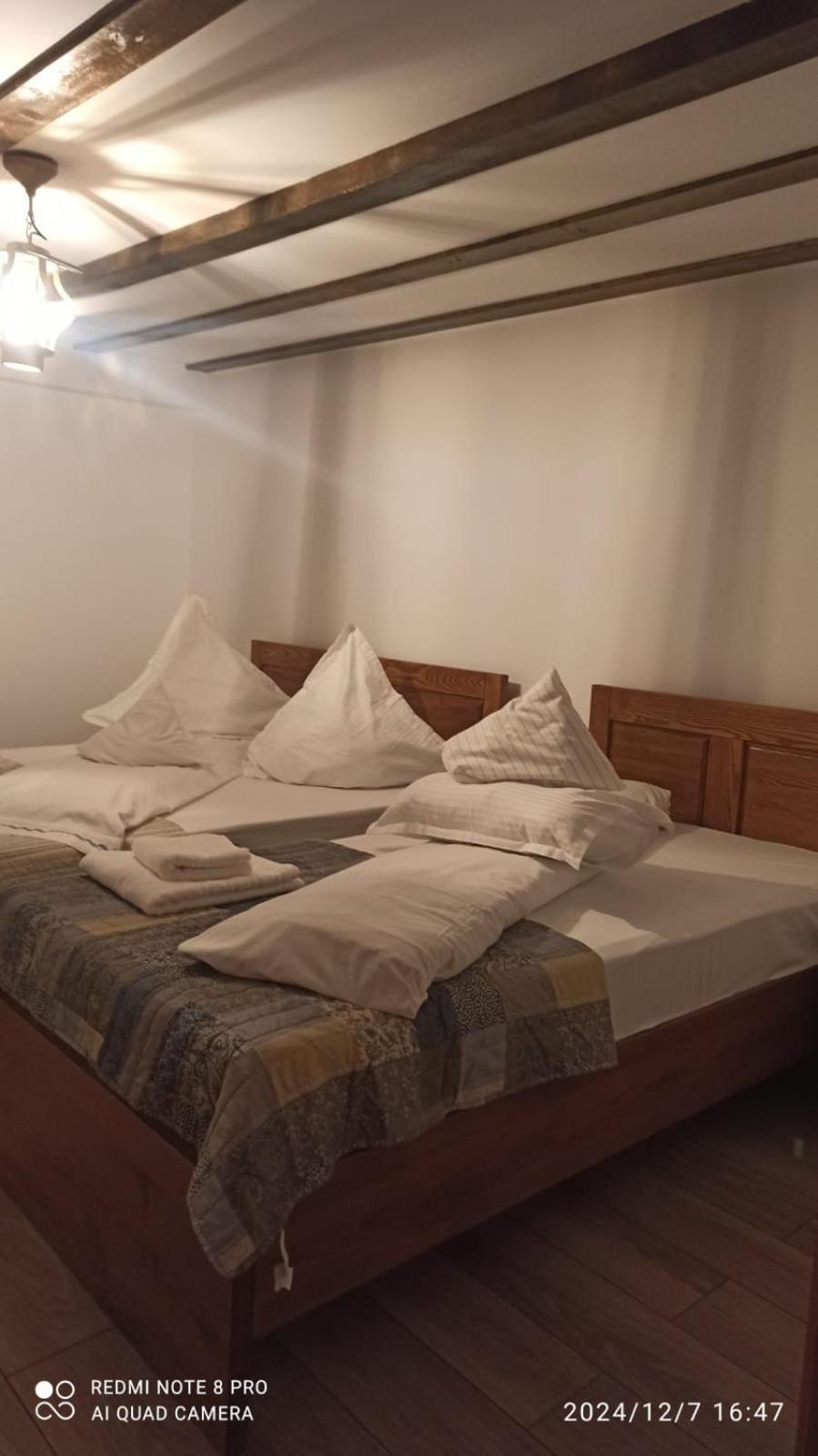 Casa Livada Bunicii Villa Aknavásár Kültér fotó