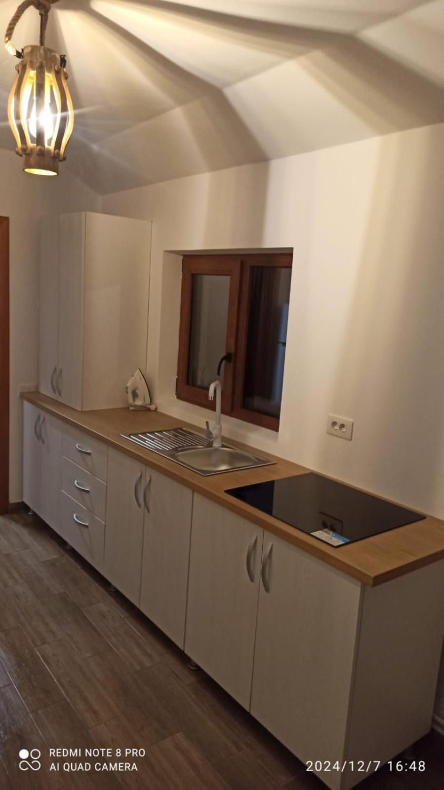 Casa Livada Bunicii Villa Aknavásár Kültér fotó