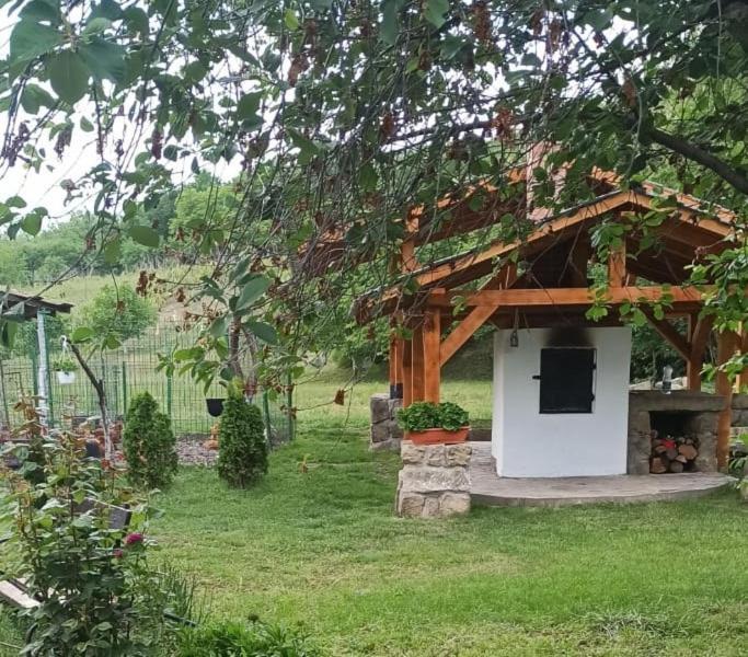 Casa Livada Bunicii Villa Aknavásár Kültér fotó