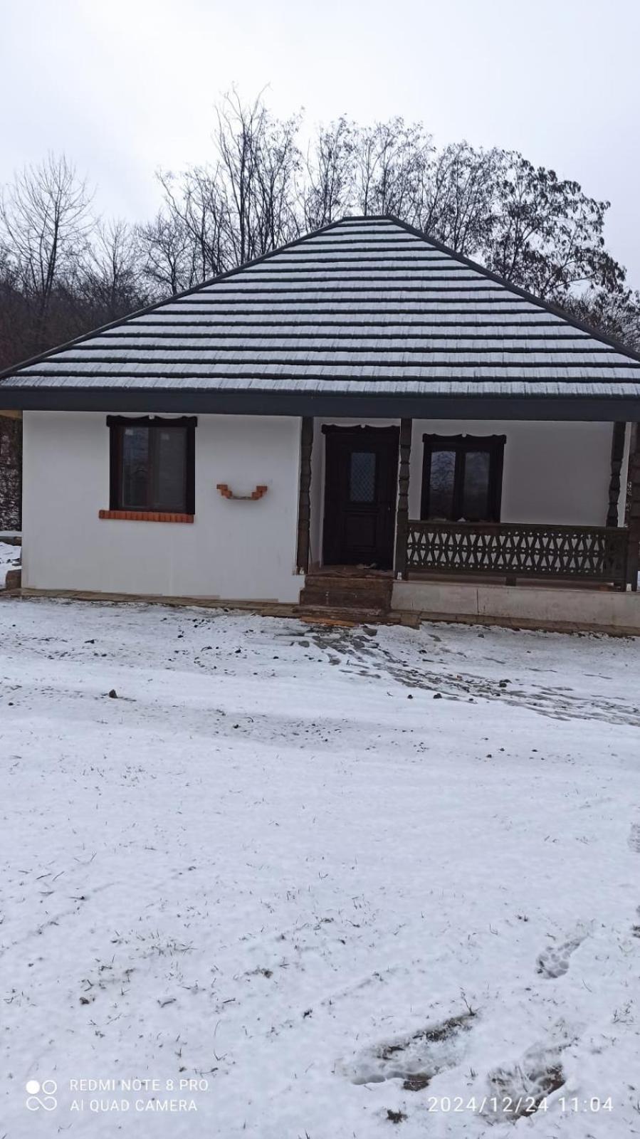 Casa Livada Bunicii Villa Aknavásár Kültér fotó