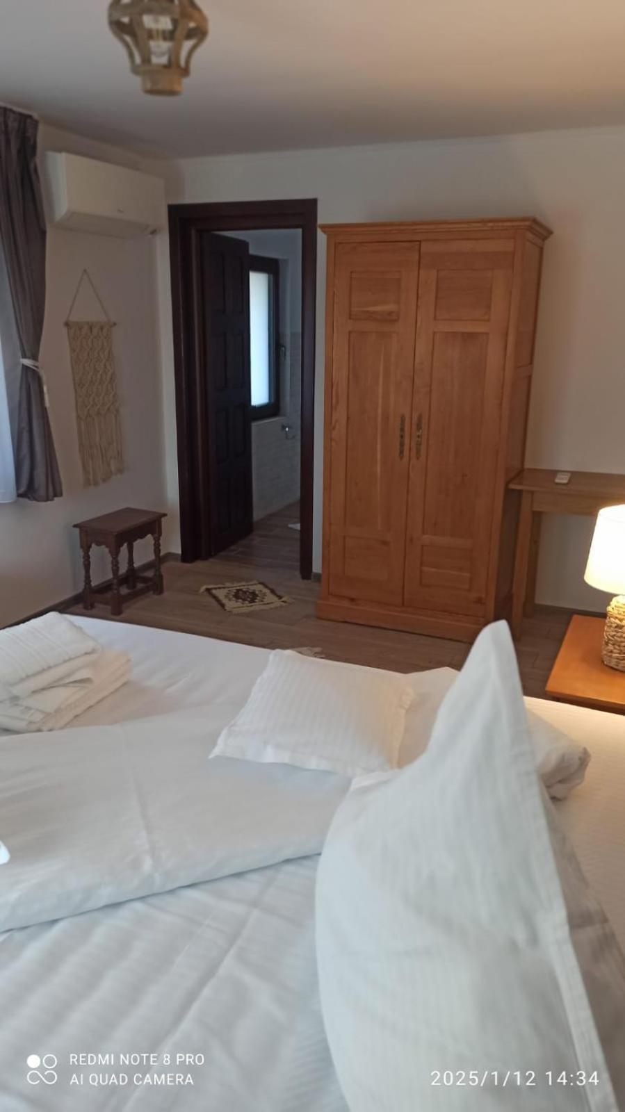 Casa Livada Bunicii Villa Aknavásár Kültér fotó