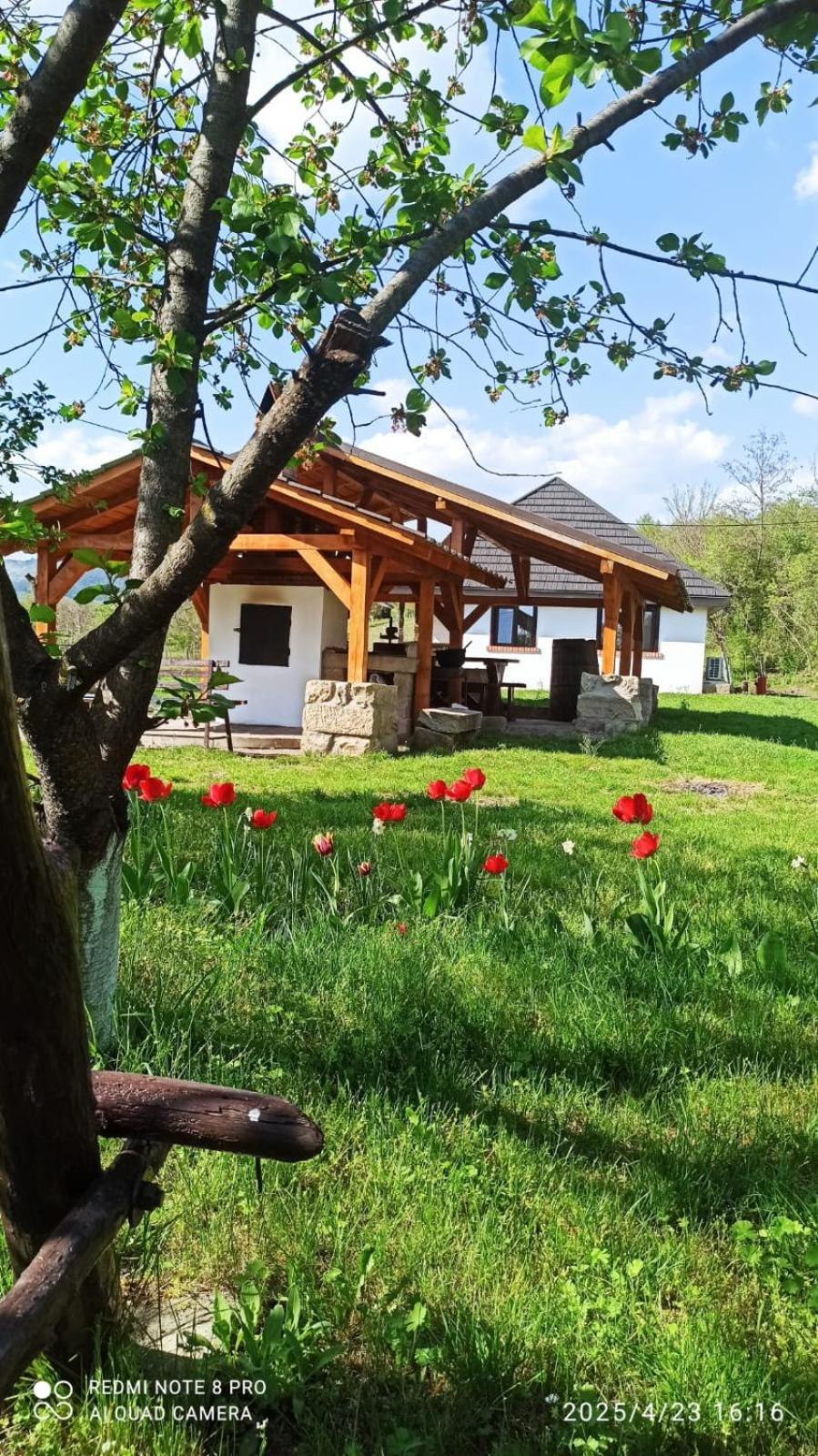 Casa Livada Bunicii Villa Aknavásár Kültér fotó