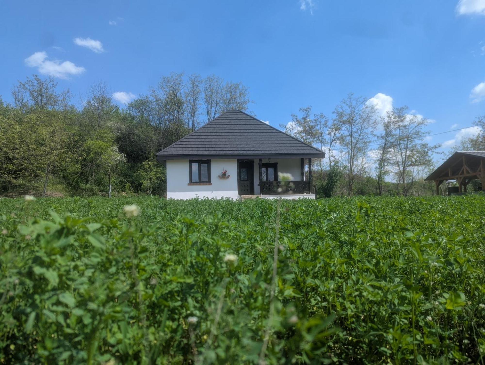 Casa Livada Bunicii Villa Aknavásár Szoba fotó